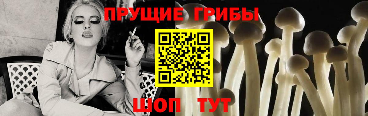 Богородицк  Псилоцибиновые грибы MAGIC MUSHROOMS  Вход с VPN  Галлюциногенные грибы Magic Shrooms 